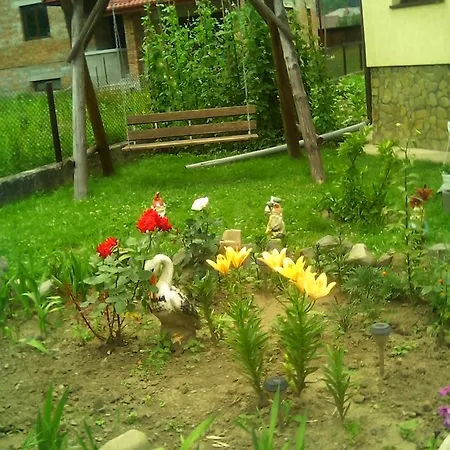 U Gostinnoyi Marichky